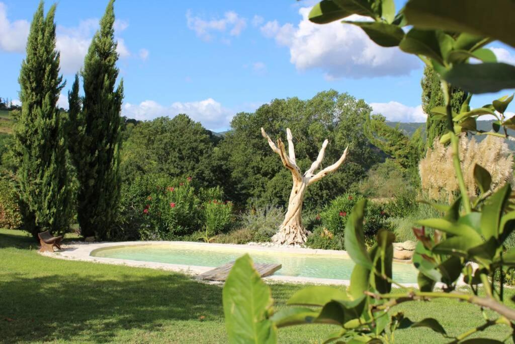 Casa Kikenda, Viaggio Nella Natura Treia Luaran gambar