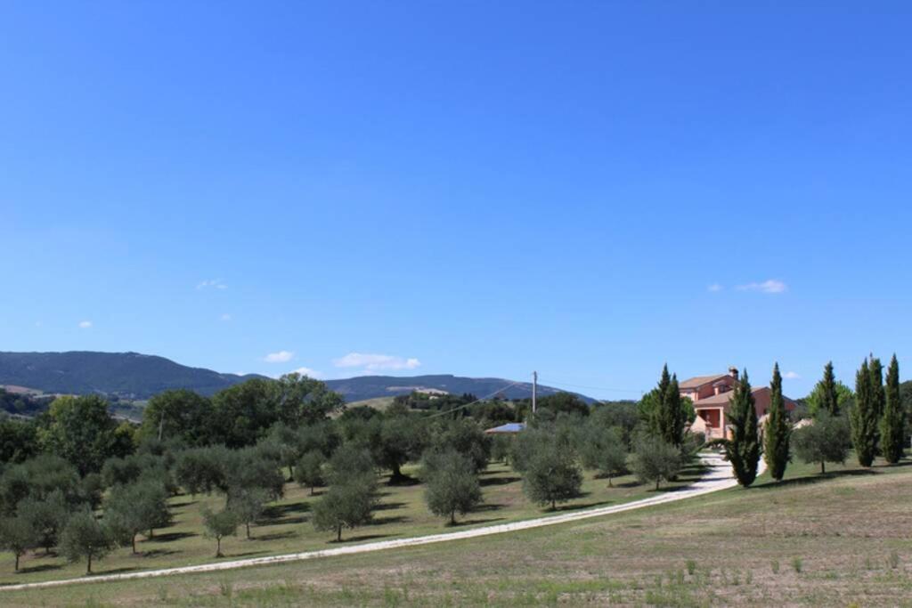 Casa Kikenda, Viaggio Nella Natura Treia Luaran gambar