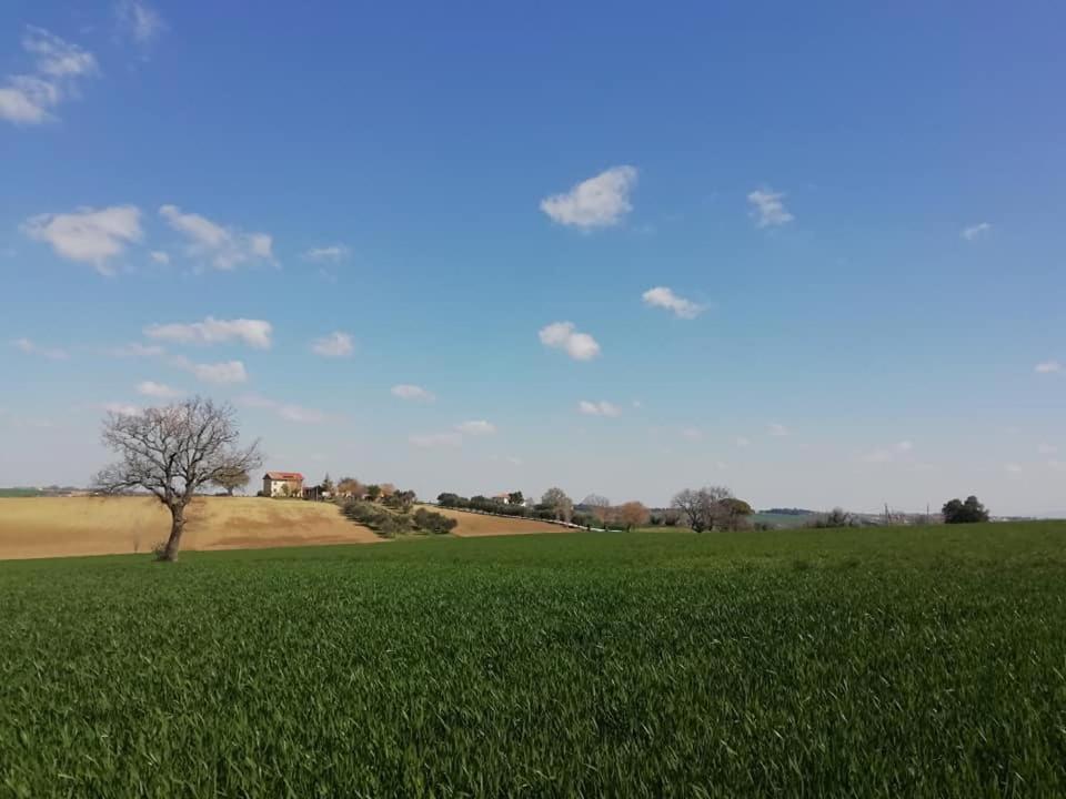 Casa Kikenda, Viaggio Nella Natura Treia Luaran gambar