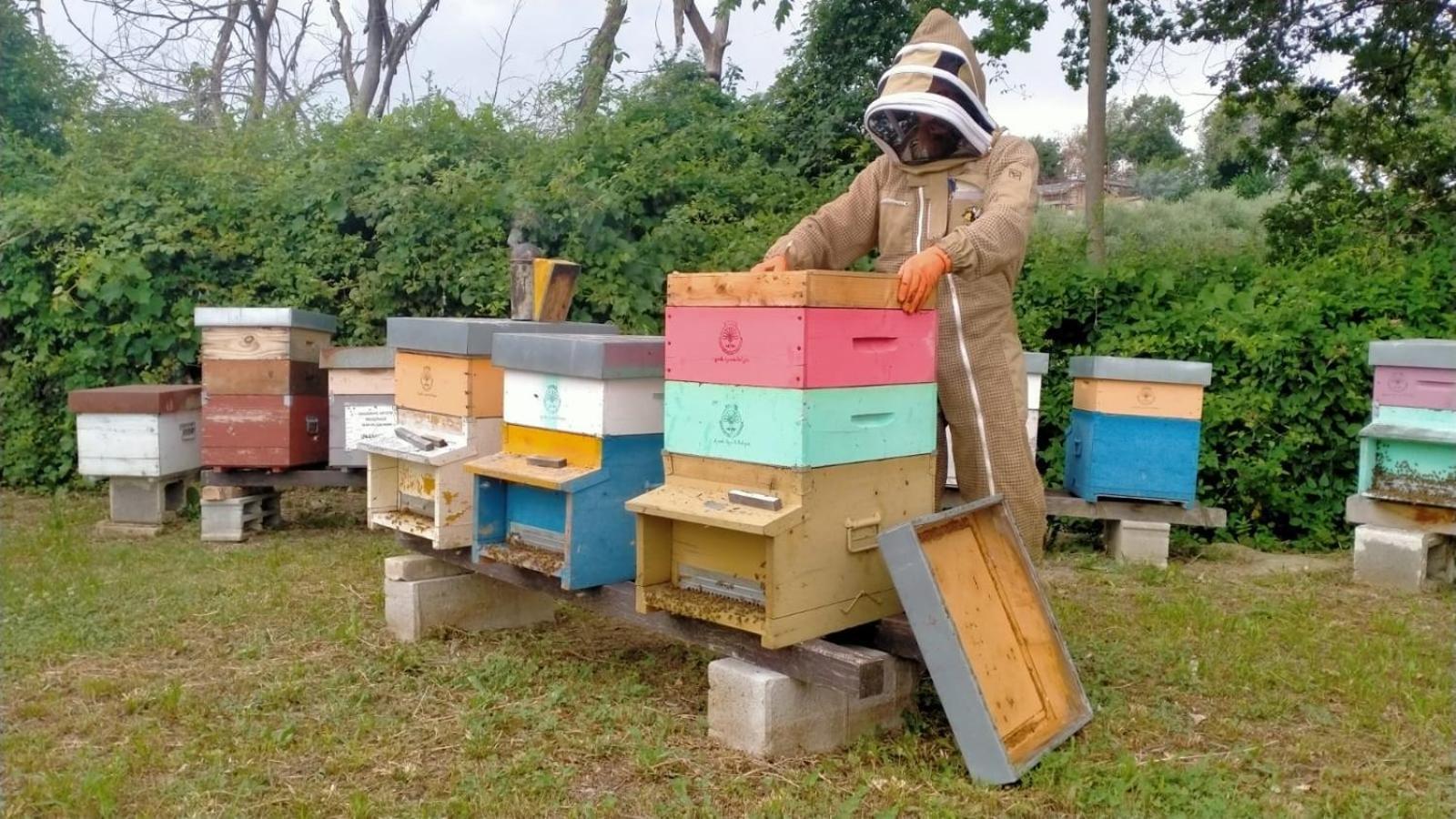 Casa Kikenda, Viaggio Nella Natura Treia Luaran gambar